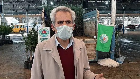 Bodrumlu üreticilere fidan dağıtımı