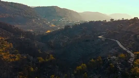 Bodrumspor'a orman temalı forma