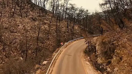 Bodrumspor'a orman temalı forma