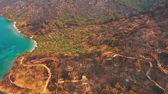 Bodrumspor'a orman temalı forma