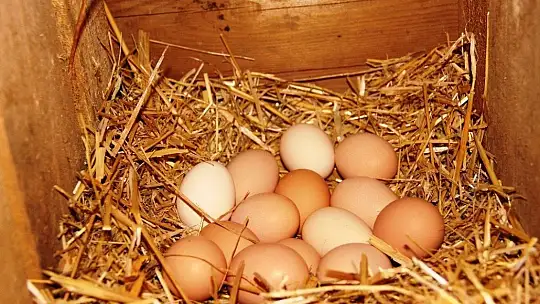 Böyle sıfır atık projesi görülmedi