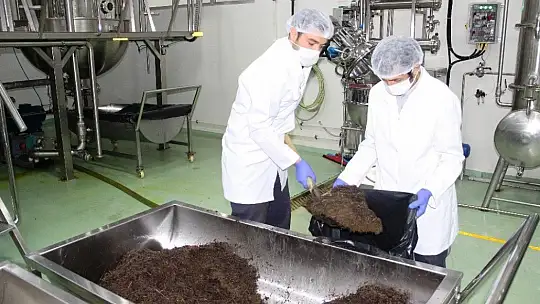 Böyle sıfır atık projesi görülmedi