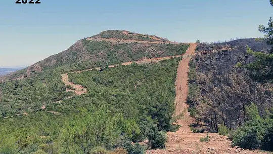 Bu şerit yangınlara geçit vermiyor
