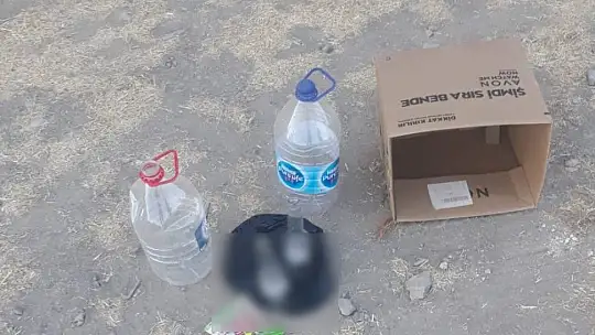 Güven, 'Bu görüntüler Fethiye gibi bir ilçeye yakışmaz'