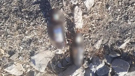 Güven, 'Bu görüntüler Fethiye gibi bir ilçeye yakışmaz'