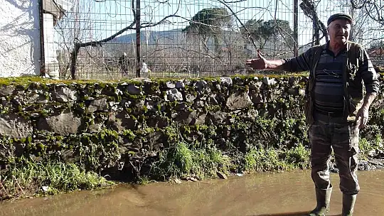 Burası ne deniz, ne göl, tütün tarlası