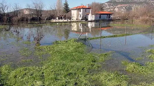Burası ne deniz, ne göl, tütün tarlası