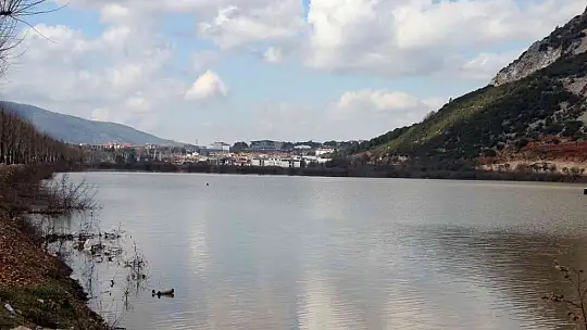 Burası ne deniz, ne göl, tütün tarlası