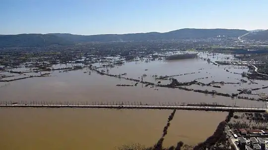 Burası ne deniz, ne göl, tütün tarlası