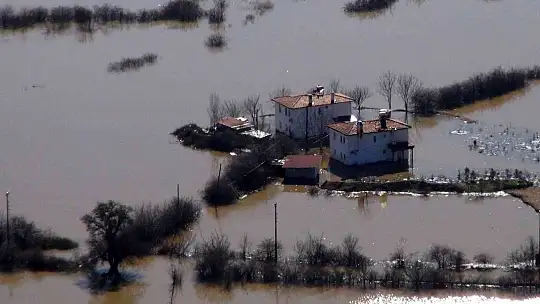Burası ne deniz, ne göl, tütün tarlası