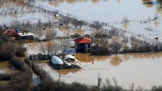 Burası ne deniz, ne göl, tütün tarlası