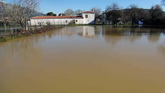 Burası ne deniz, ne göl, tütün tarlası