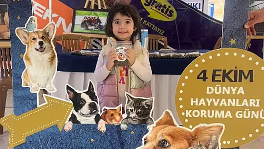 Geçici Hayvan Bakımevi 4 Ekim'de Minik Misafirleri Ağırladı