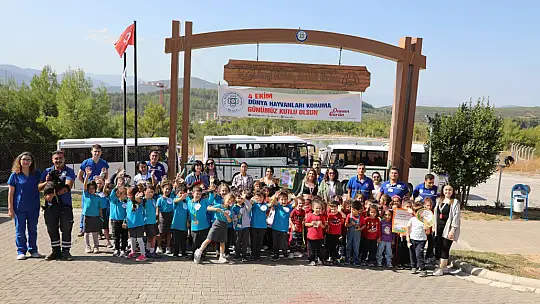 Geçici Hayvan Bakımevi 4 Ekim'de Minik Misafirleri Ağırladı