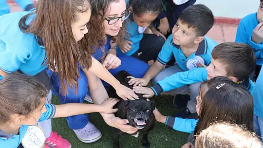 Geçici Hayvan Bakımevi 4 Ekim'de Minik Misafirleri Ağırladı