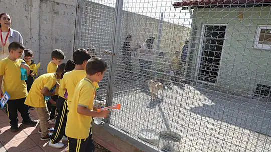 Geçici Hayvan Bakımevi 4 Ekim'de Minik Misafirleri Ağırladı