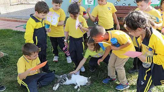 Geçici Hayvan Bakımevi 4 Ekim'de Minik Misafirleri Ağırladı