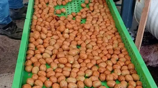 Büyükşehir'den Üreticiye makina desteği