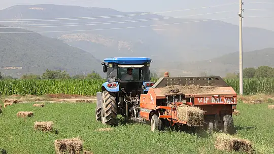 Büyükşehir'den 700 Üreticiye 3 Milyon TL Değerinde Kaba Yem Desteği