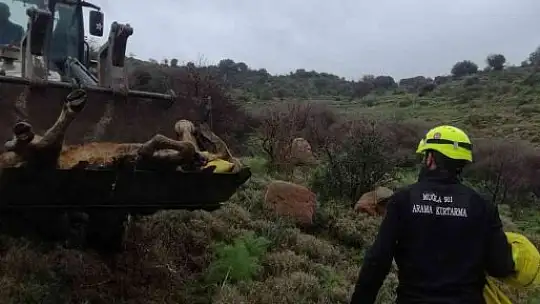 Buzağı 3 gün sonra kurtarıldı