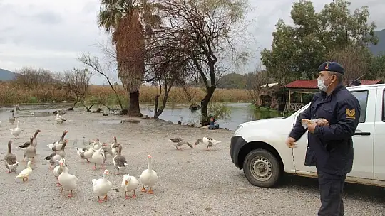 Can dostlar Jandarmaya emanet