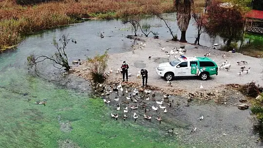 Can dostlar Jandarmaya emanet