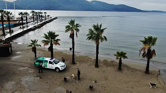 Can dostlar Jandarmaya emanet