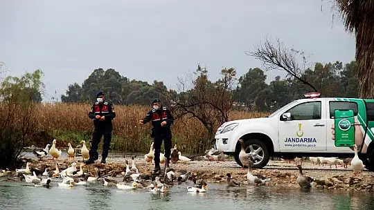 Can dostlar Jandarmaya emanet