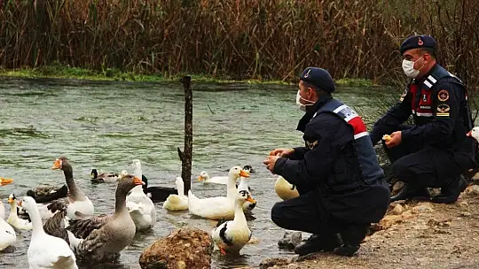 Can dostlar Jandarmaya emanet