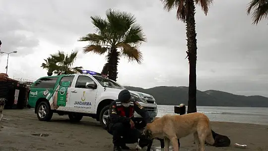 Can dostlar Jandarmaya emanet