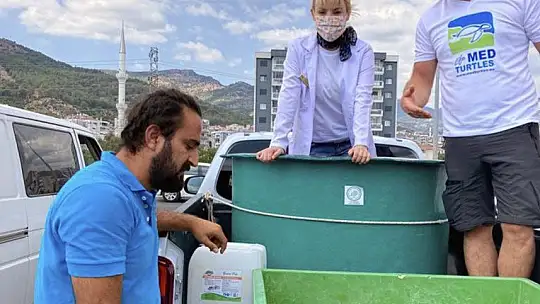 Çanakkale'de yaralı bulunan Caretta tedaviye alındı