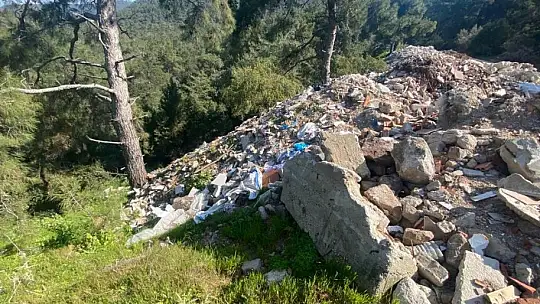 Çevreyi kirletenlere 600 bin lira ceza kesildi