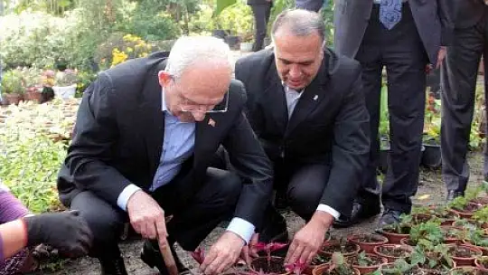 CHP Genel Başkanı Kılıçdaroğlu kadınlarla çiçek dikti