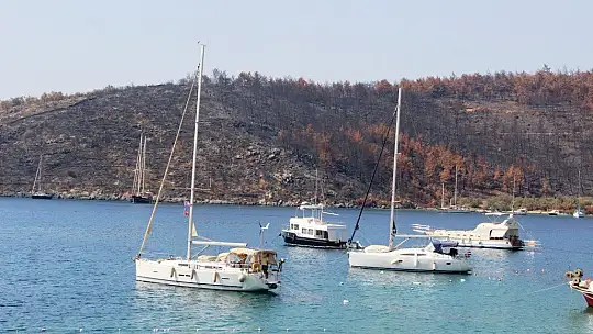 Çökertme Koyu yeniden eski günlerine kavuşuyor