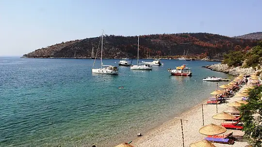 Çökertme Koyu yeniden eski günlerine kavuşuyor