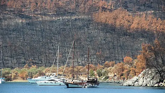 Çökertme Koyu yeniden eski günlerine kavuşuyor