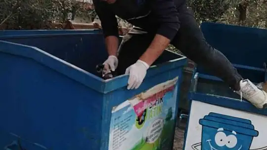 Çöp toplarken konteynırda yavru kedilerle karşılaştı