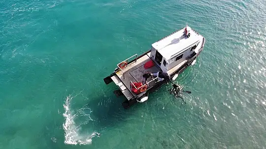 Çöpten değil denizden çıktı