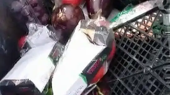 Çöpten taze meyve sebze çıktı