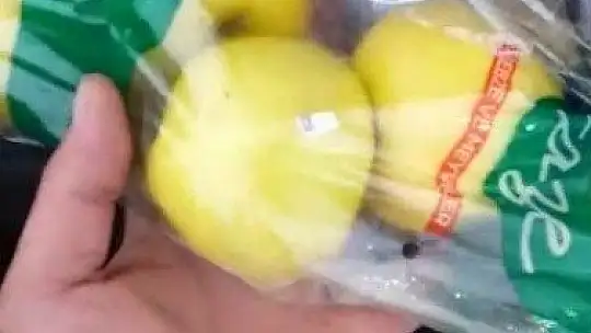 Çöpten taze meyve sebze çıktı