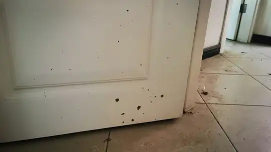 Cumhurbaşkanı Erdoğan'ın konakladığı oteldeki hain darbe girişiminin izleri muhafaza ediliyor