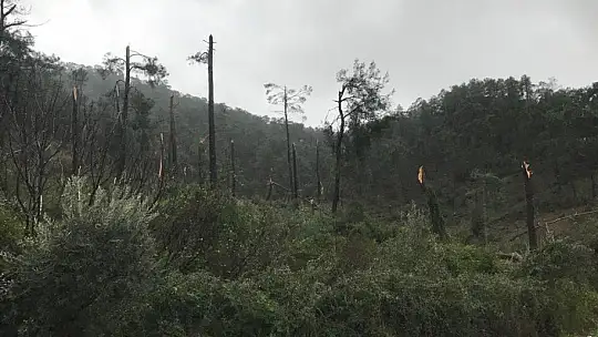 Fethiye'de etkili yağış