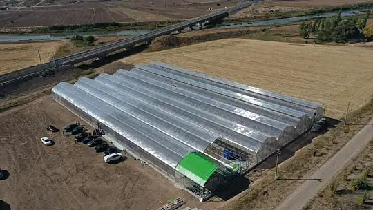 Fethiye'nin ihracat rekortmeni Ölüdeniz Sistem Sera! 