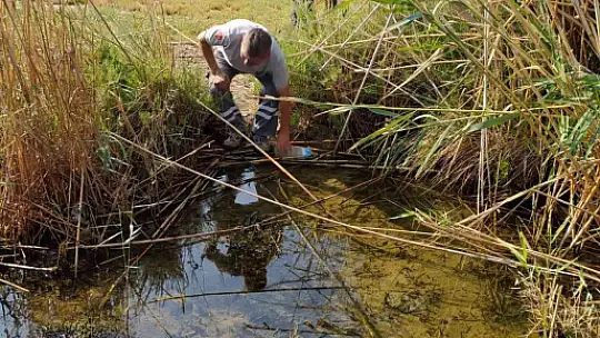 DALYAN KANALI ARTIK DAHA TEMİZ