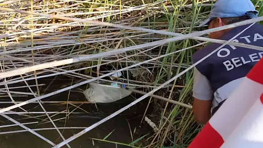 DALYAN KANALI ARTIK DAHA TEMİZ