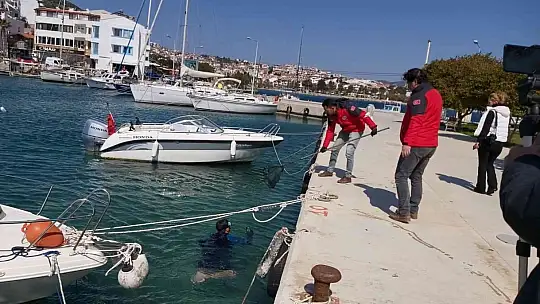 Datça'da deniz dibi temizliği yapıldı