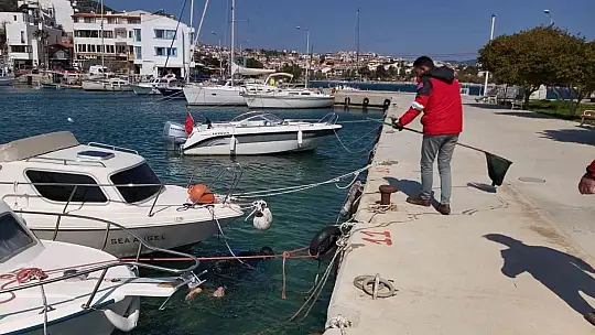 Datça'da deniz dibi temizliği yapıldı
