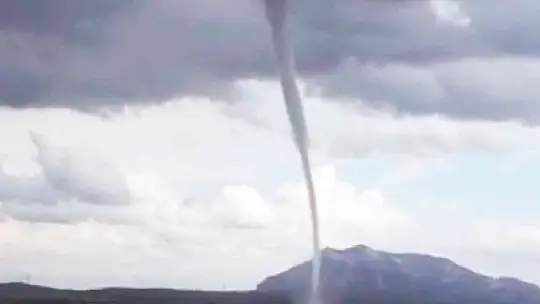 DATÇA'DA KORKUTAN DEV HORTUM