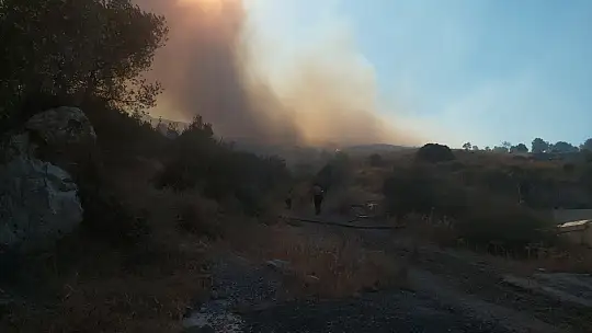 Datça'da makilik yangını başladı