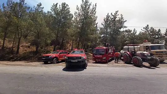 Datça'daki orman yangınına havadan ve karadan müdahale sürüyor